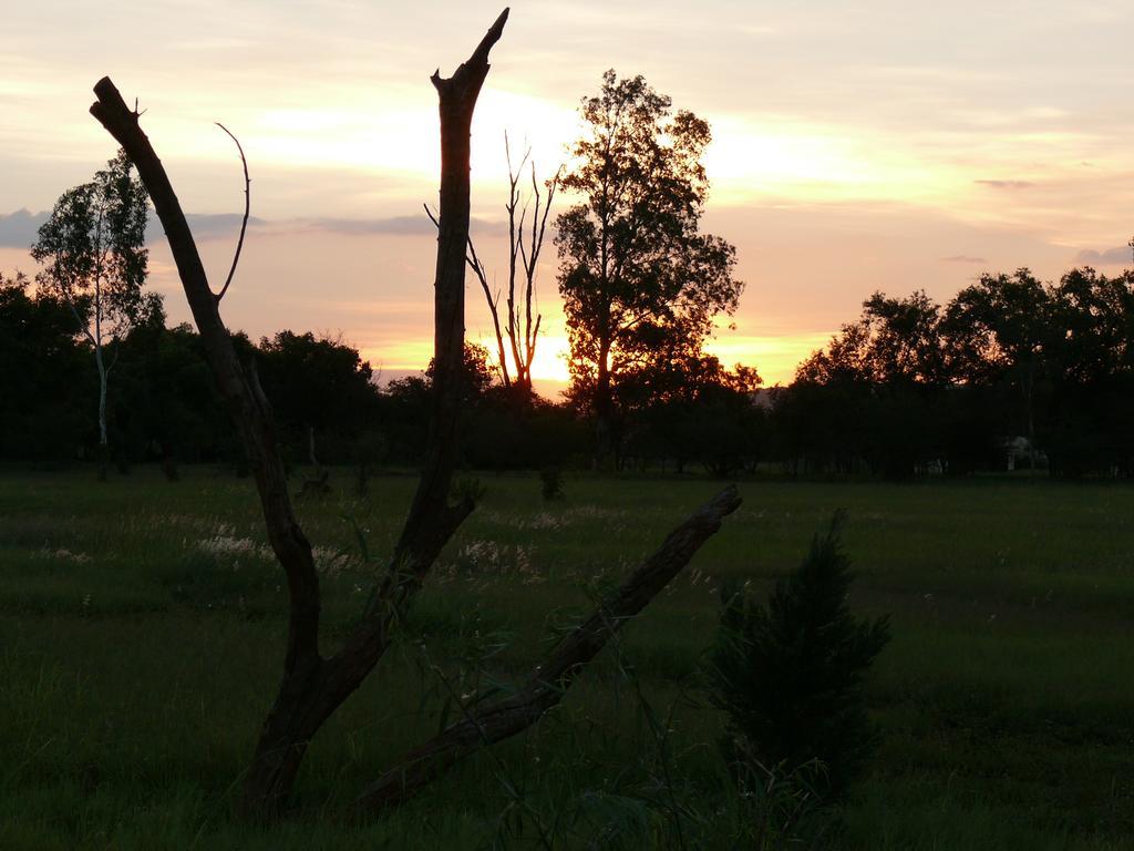 Votadini Country Cottages Magaliesburg Eksteriør bilde